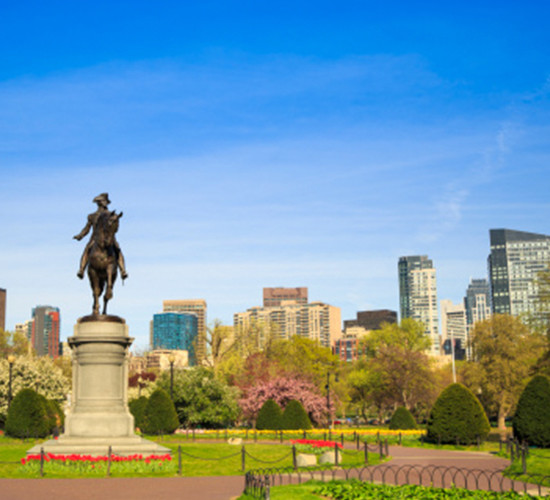 Cascade Farmer's Market photo 19
