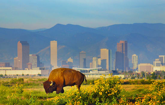 Cascade Farmer's Market photo 4