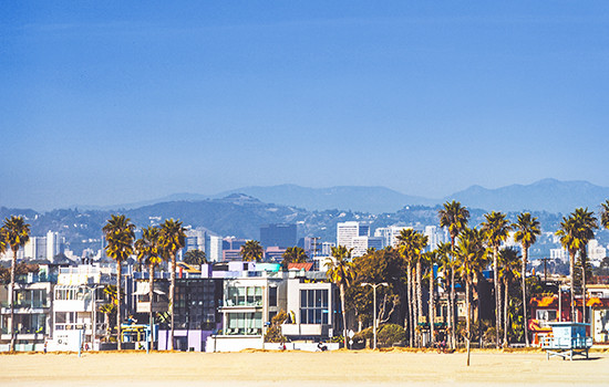 Cascade Farmer's Market photo 18