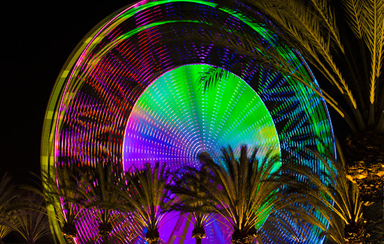 Cascade Farmer's Market photo 3