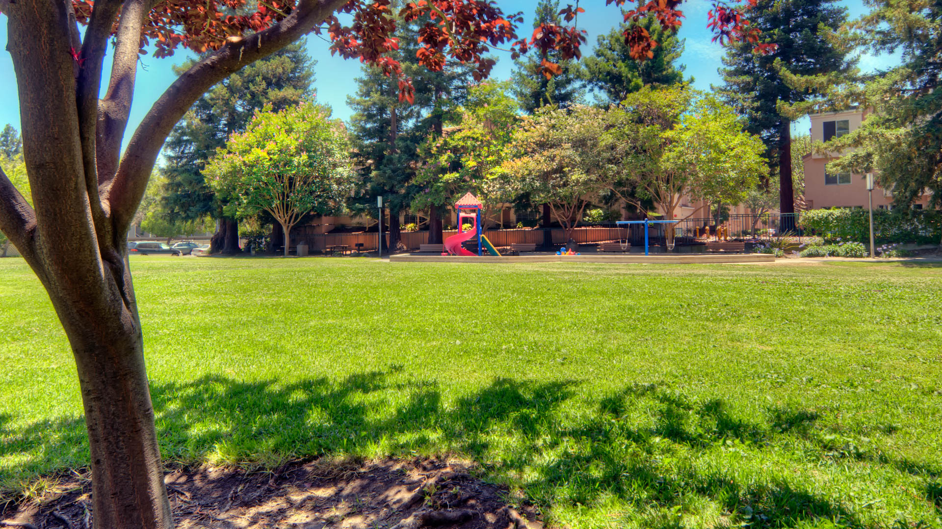 Dog park at Briarwood Apartments