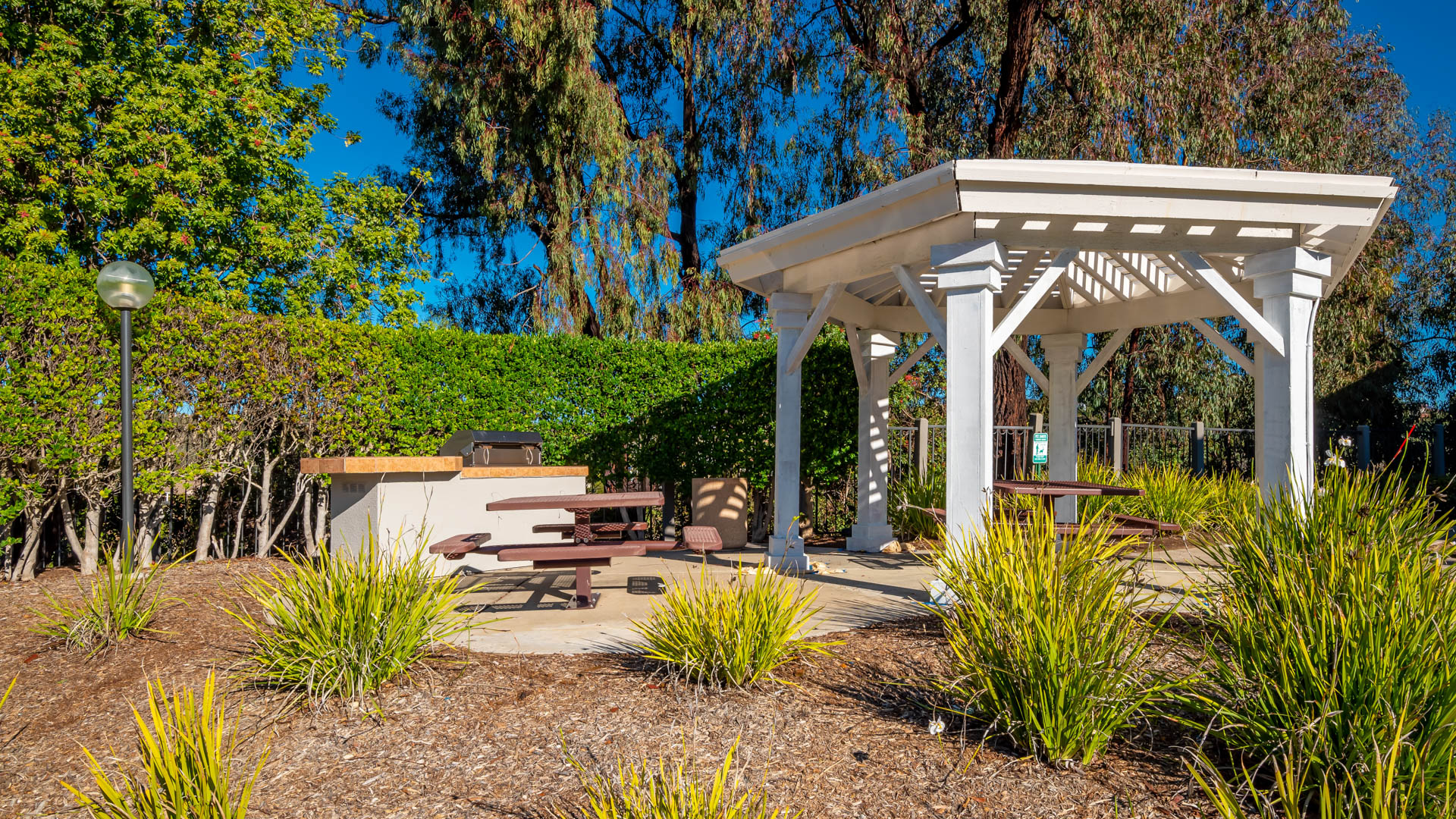 Grill area at Montierra Apartments