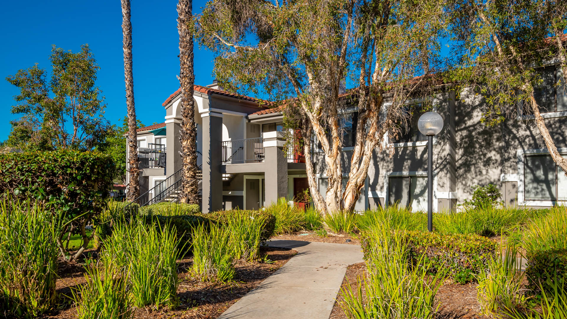 Montierra Apartments 2 of 12