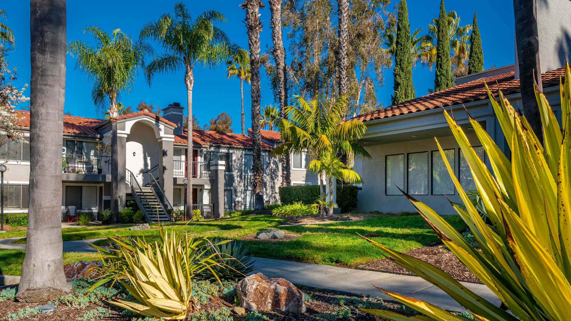Montierra Apartments 3 of 12