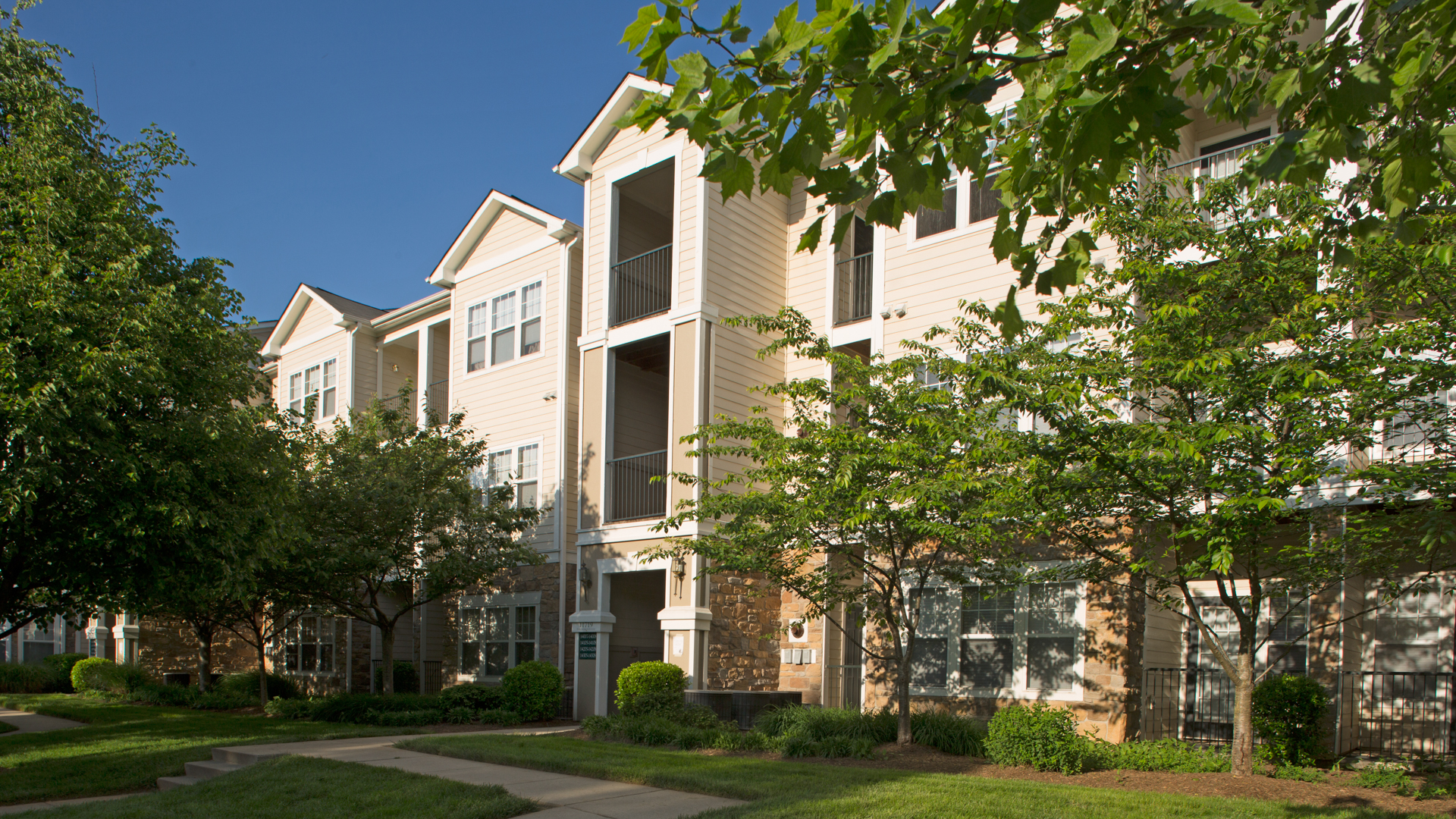 The Reserve at Fairfax Corner Apartments 4 of 12