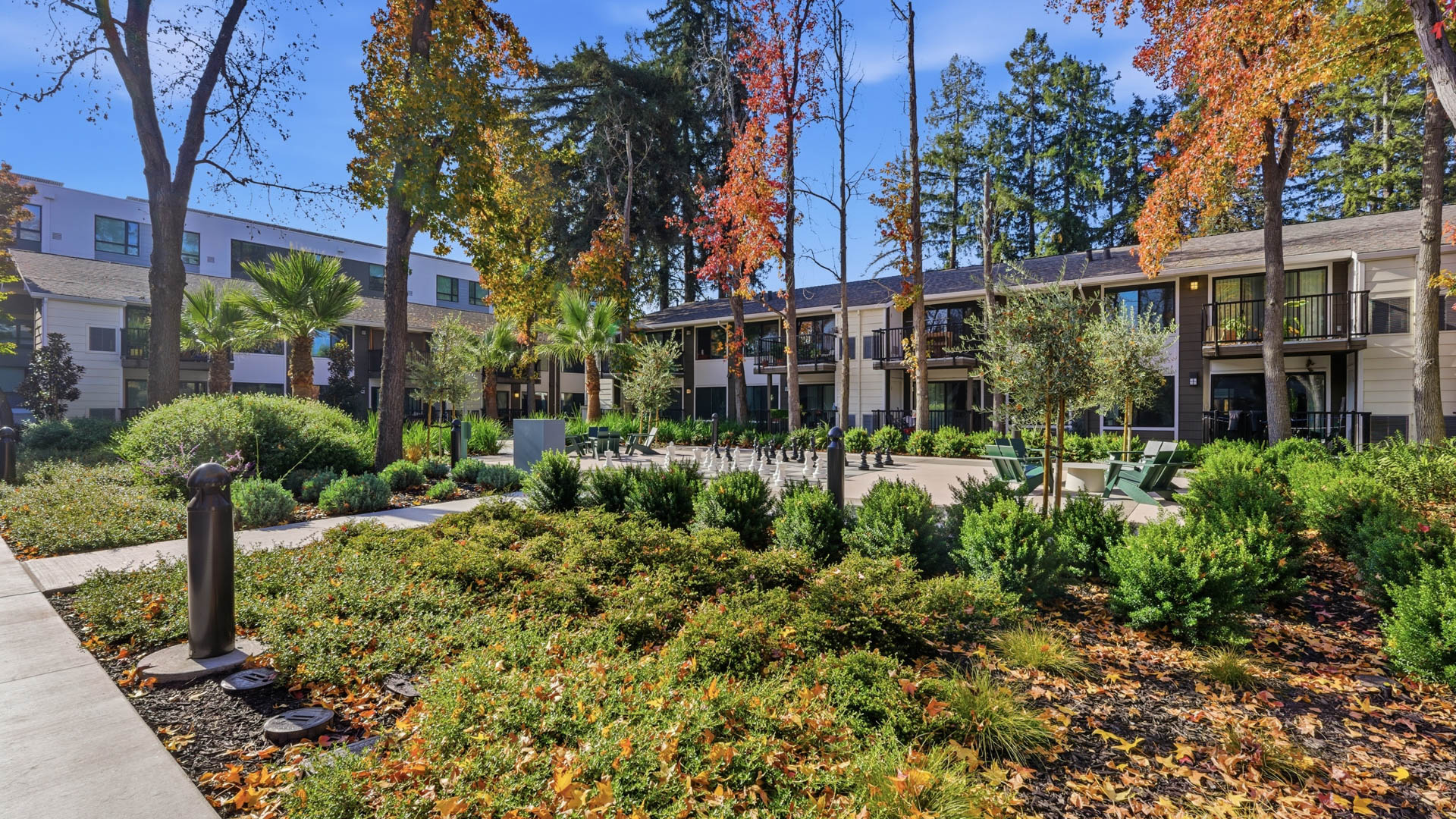 Courtyard at Lorien Ivy Apartments (3 of 8)