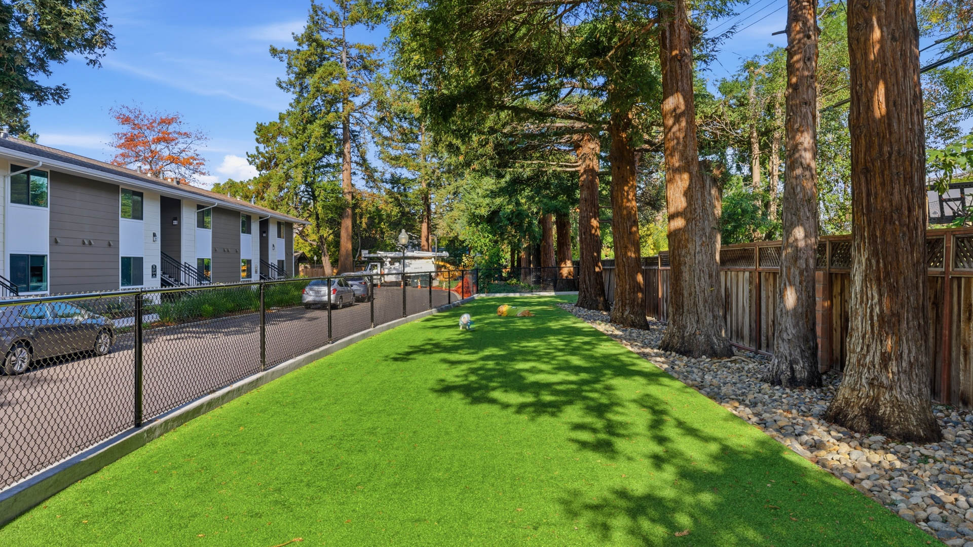 Dog park at Lorien Ivy Apartments