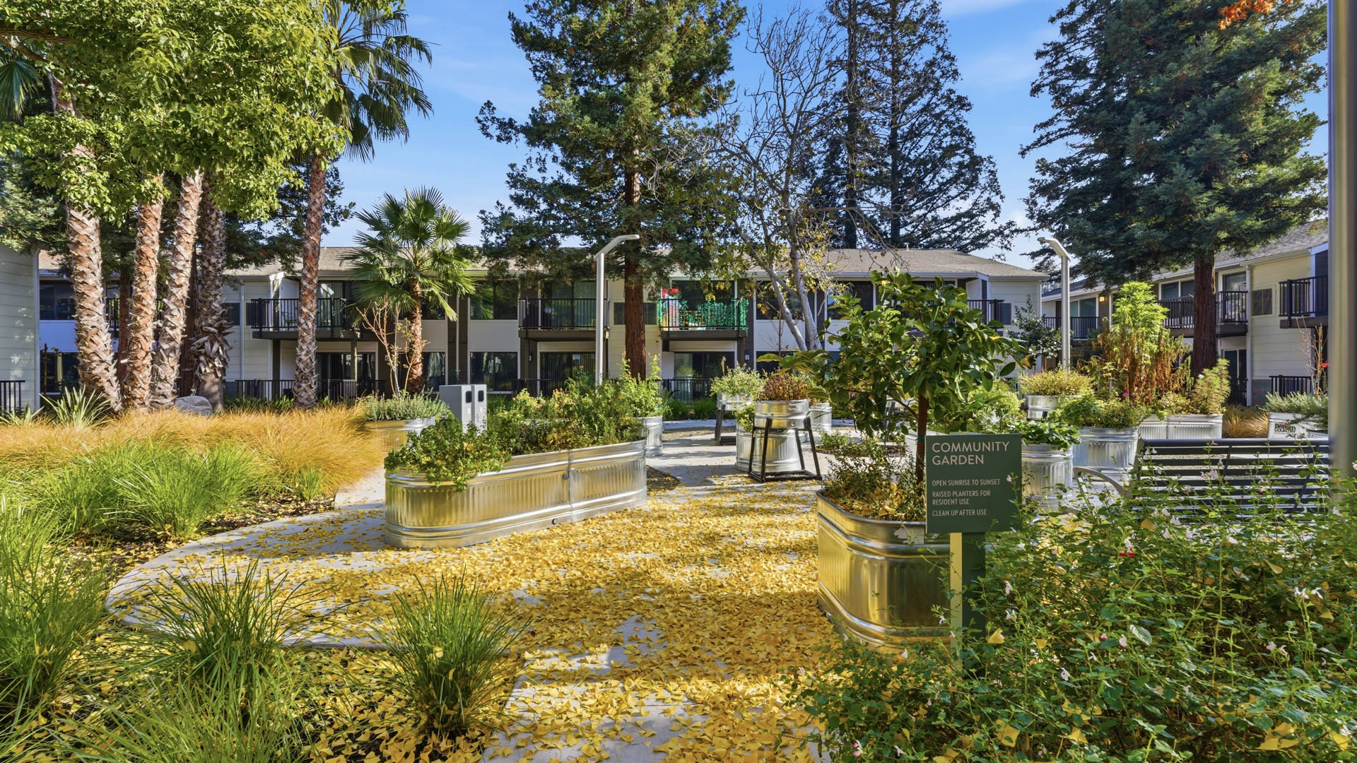 Courtyard at Lorien Ivy Apartments (8 of 8)