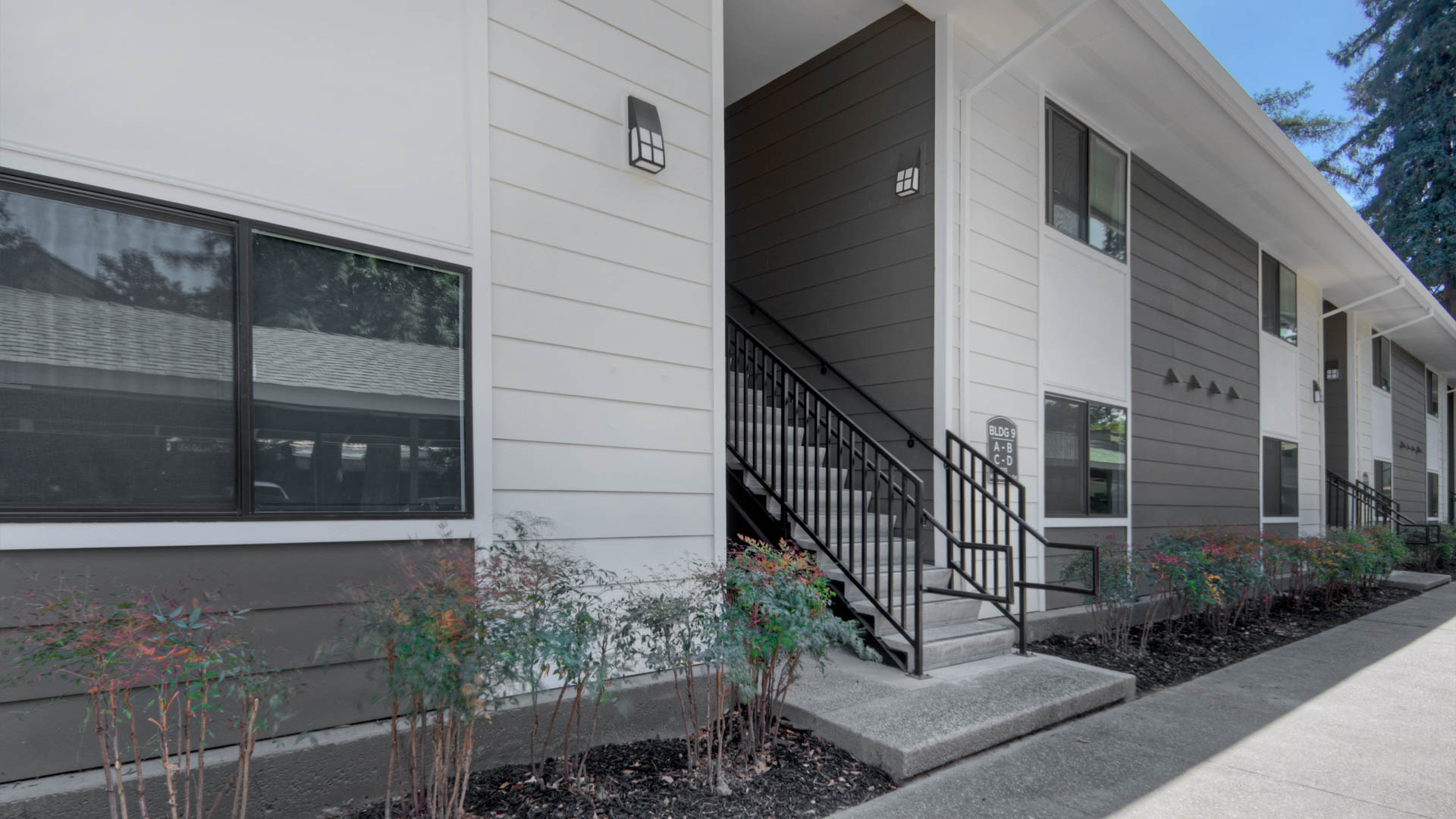 Lorien Ivy Apartments 3 of 12