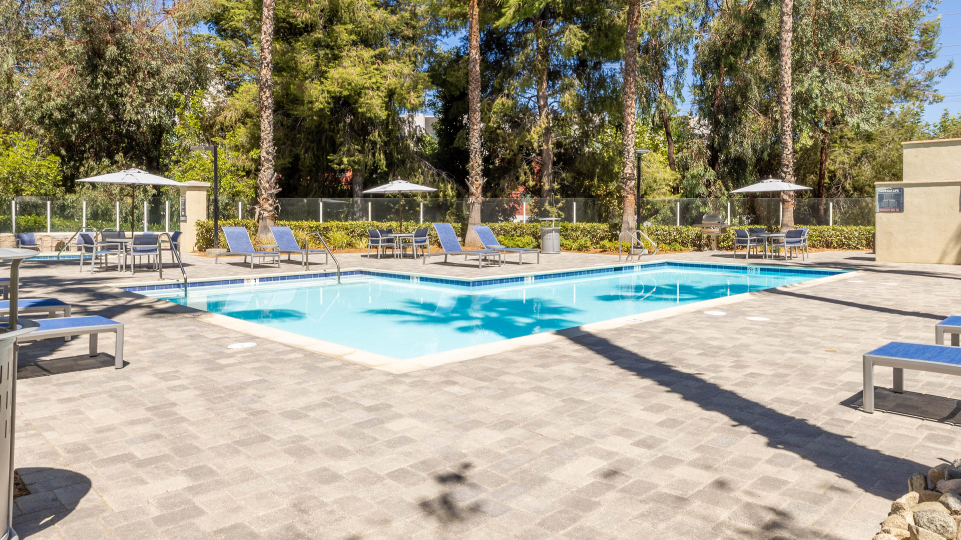 Pool at Bella Vista At Warner Ridge Apartments (3 of 3)