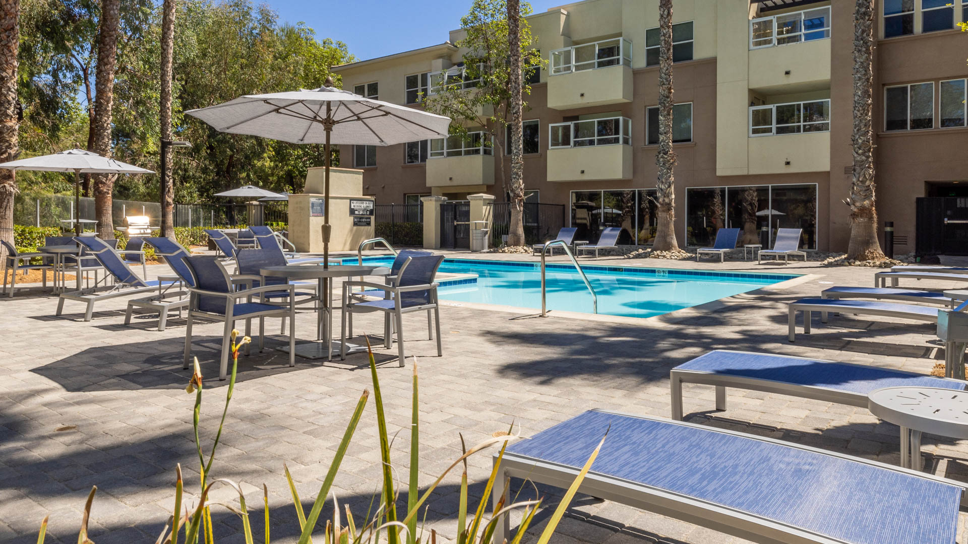 Pool at Bella Vista At Warner Ridge Apartments (2 of 3)