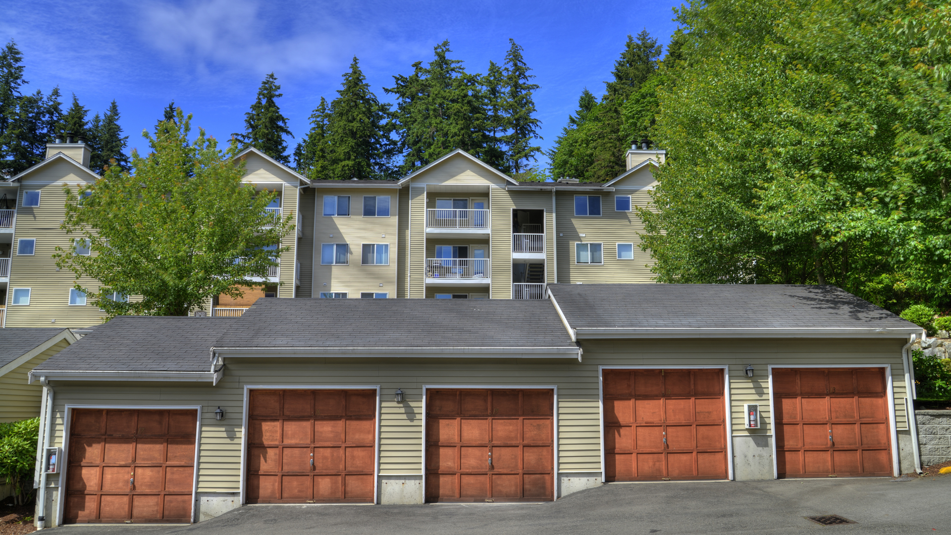 Ivorywood Apartments 4 of 12