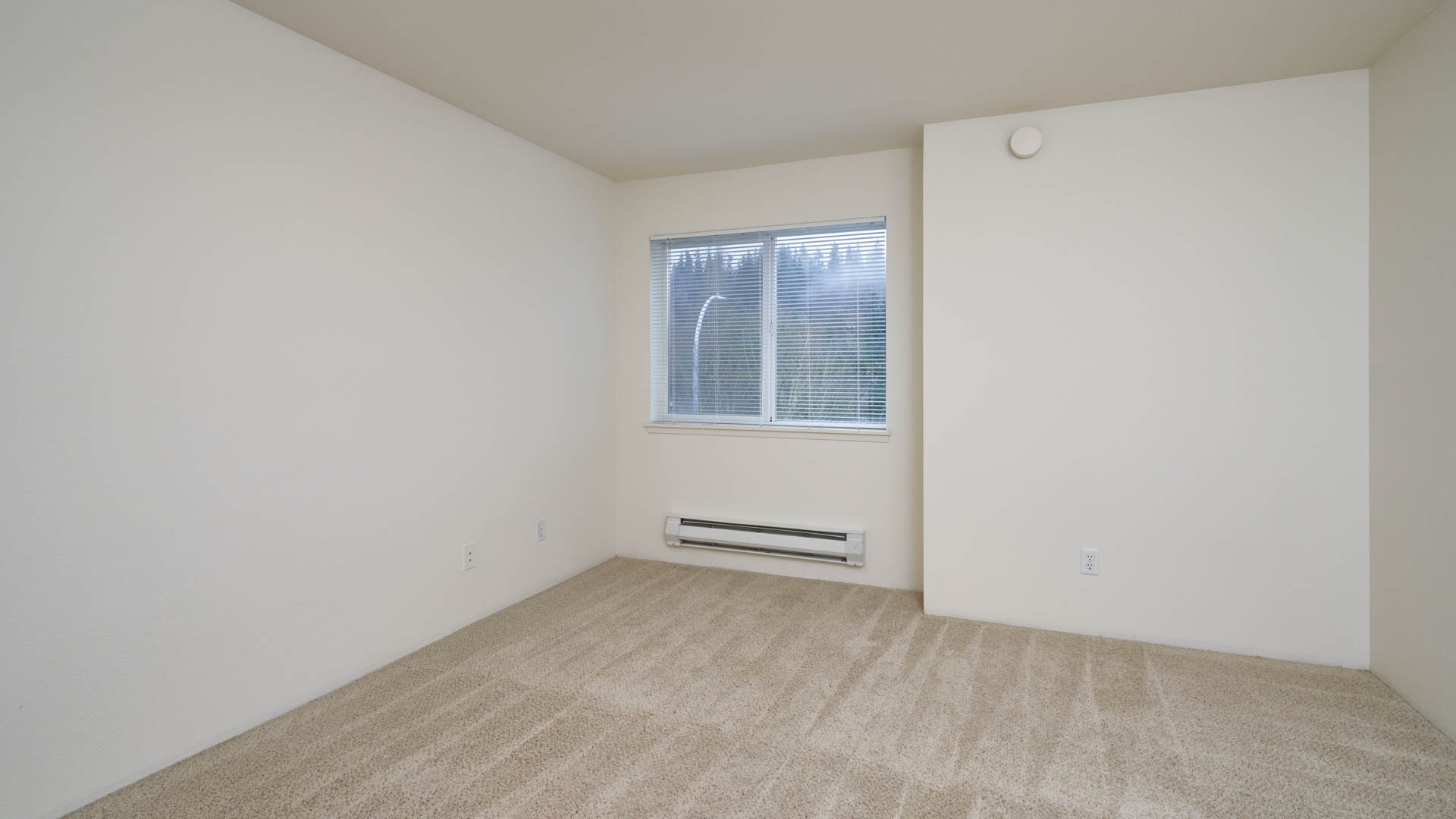 Ivorywood Apartments 4 of 6