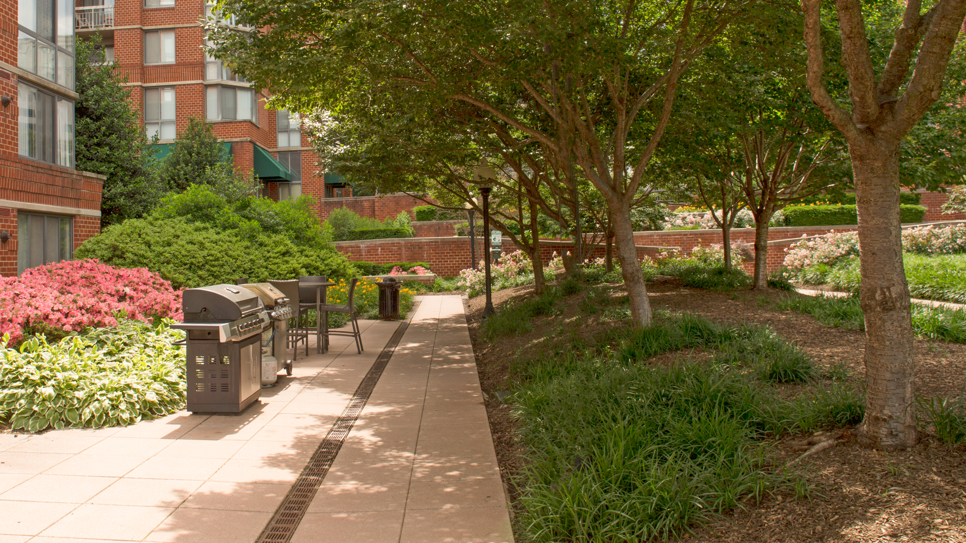 Courtyard at The Prime at Arlington Courthouse Apartments (2 of 2)