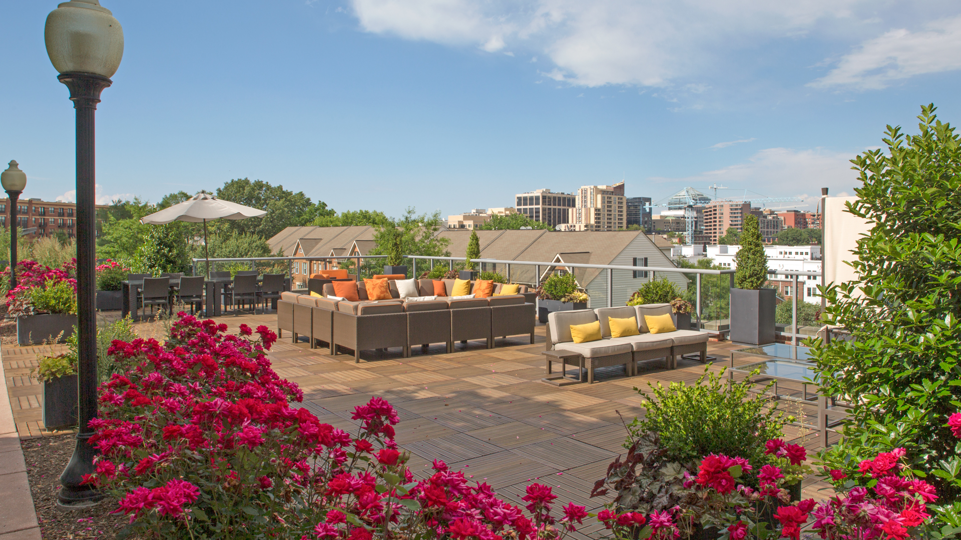 Roof deck at The Prime at Arlington Courthouse Apartments (2 of 2)