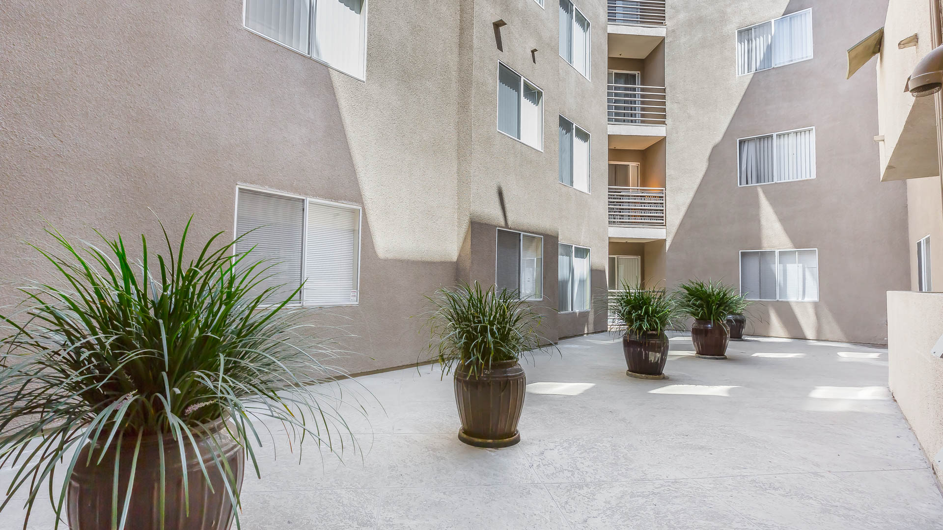 Courtyard at The Cleo Apartments