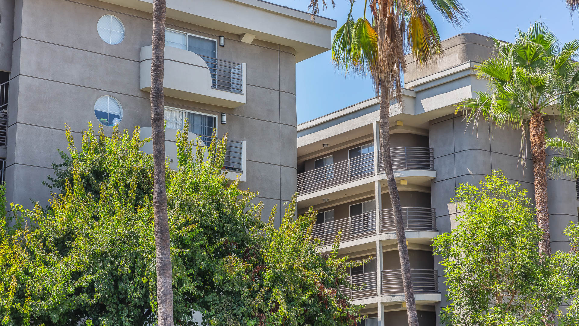 The Cleo Apartments 2 of 12
