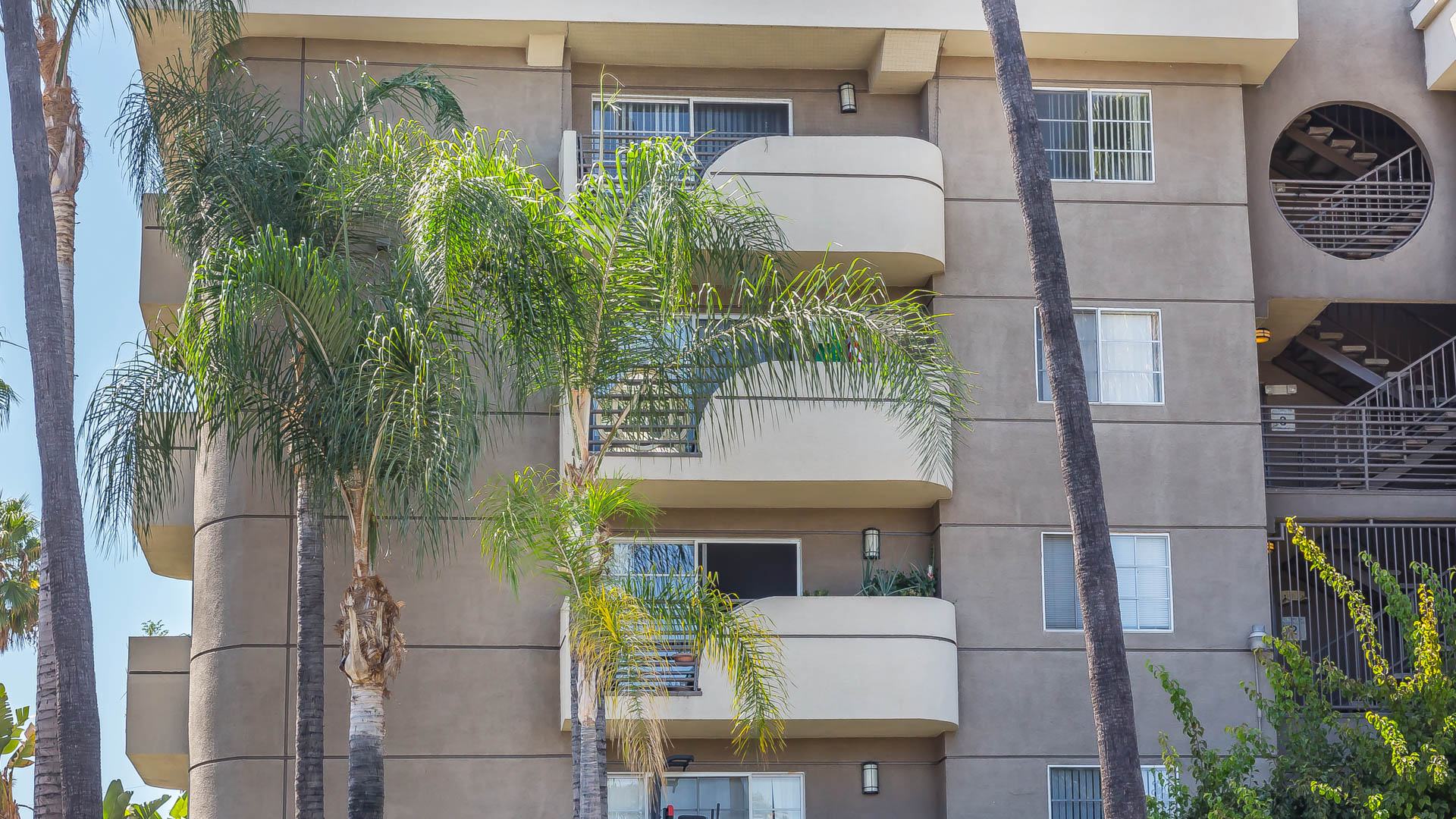 The Cleo Apartments 4 of 12