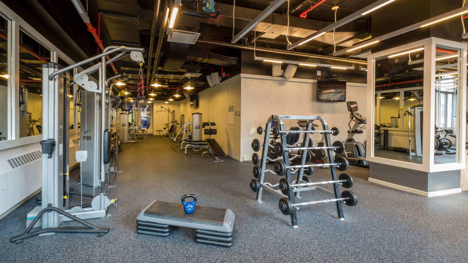 Gym at The Brooklyner Apartments (1 of 4)