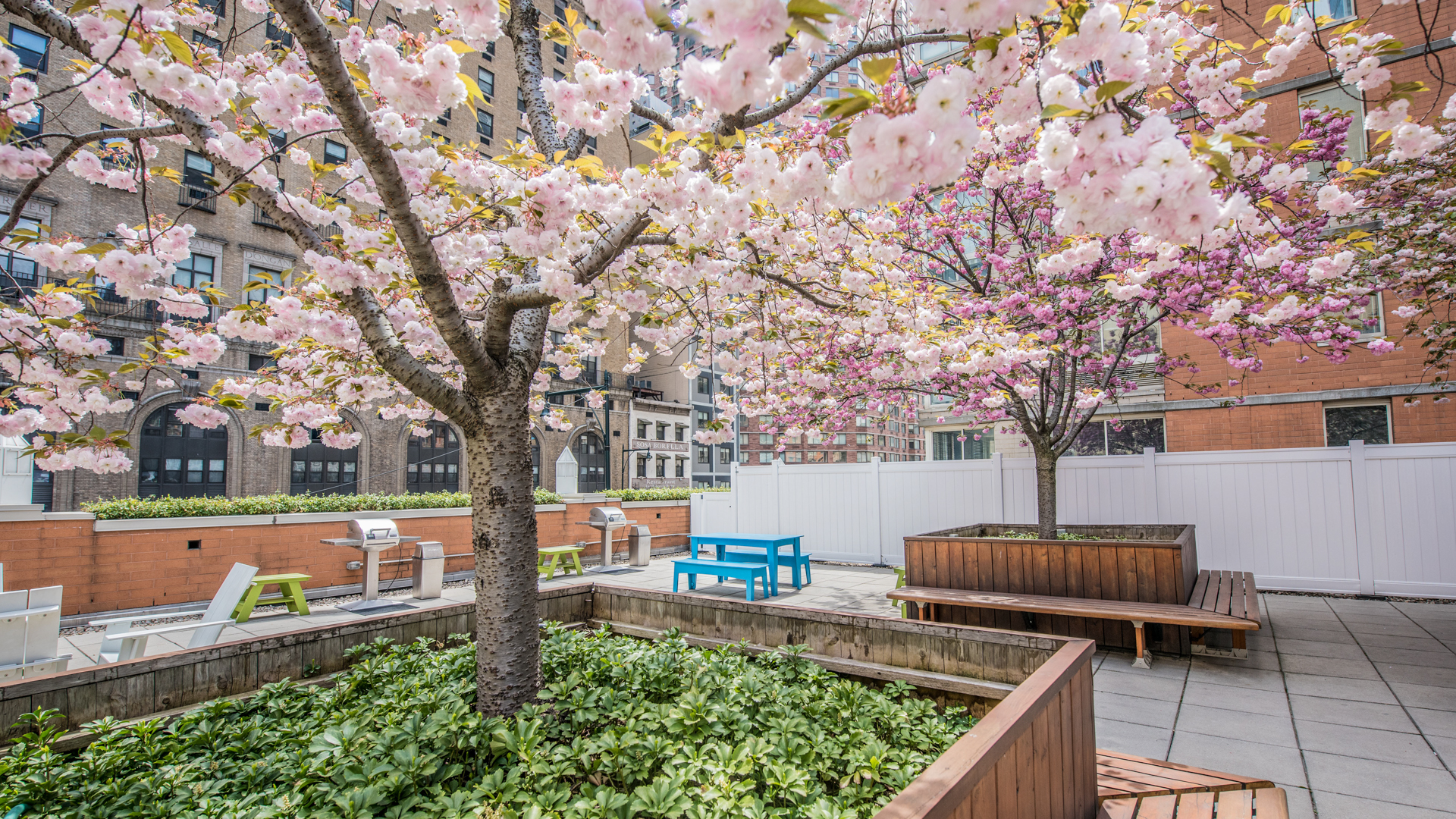 Courtyard at Longacre House Apartments (2 of 2)
