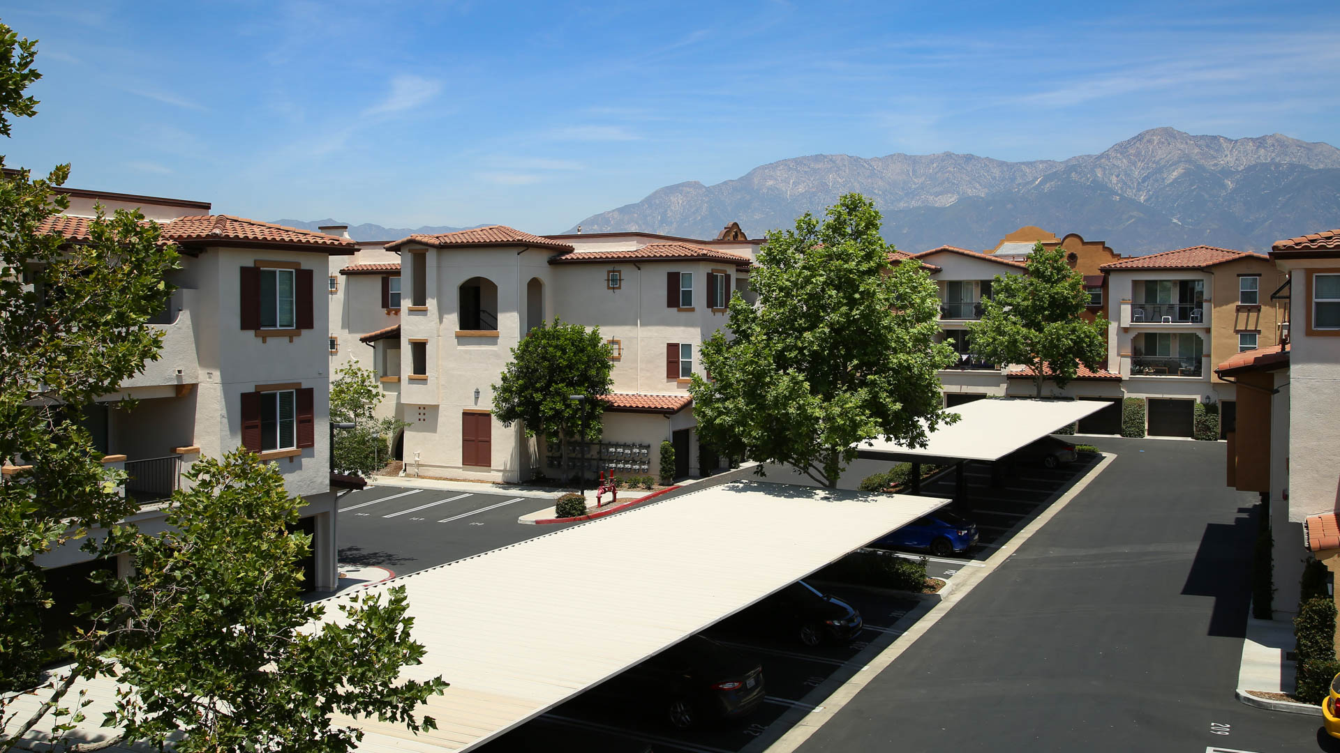Vintage Apartments 4 of 12