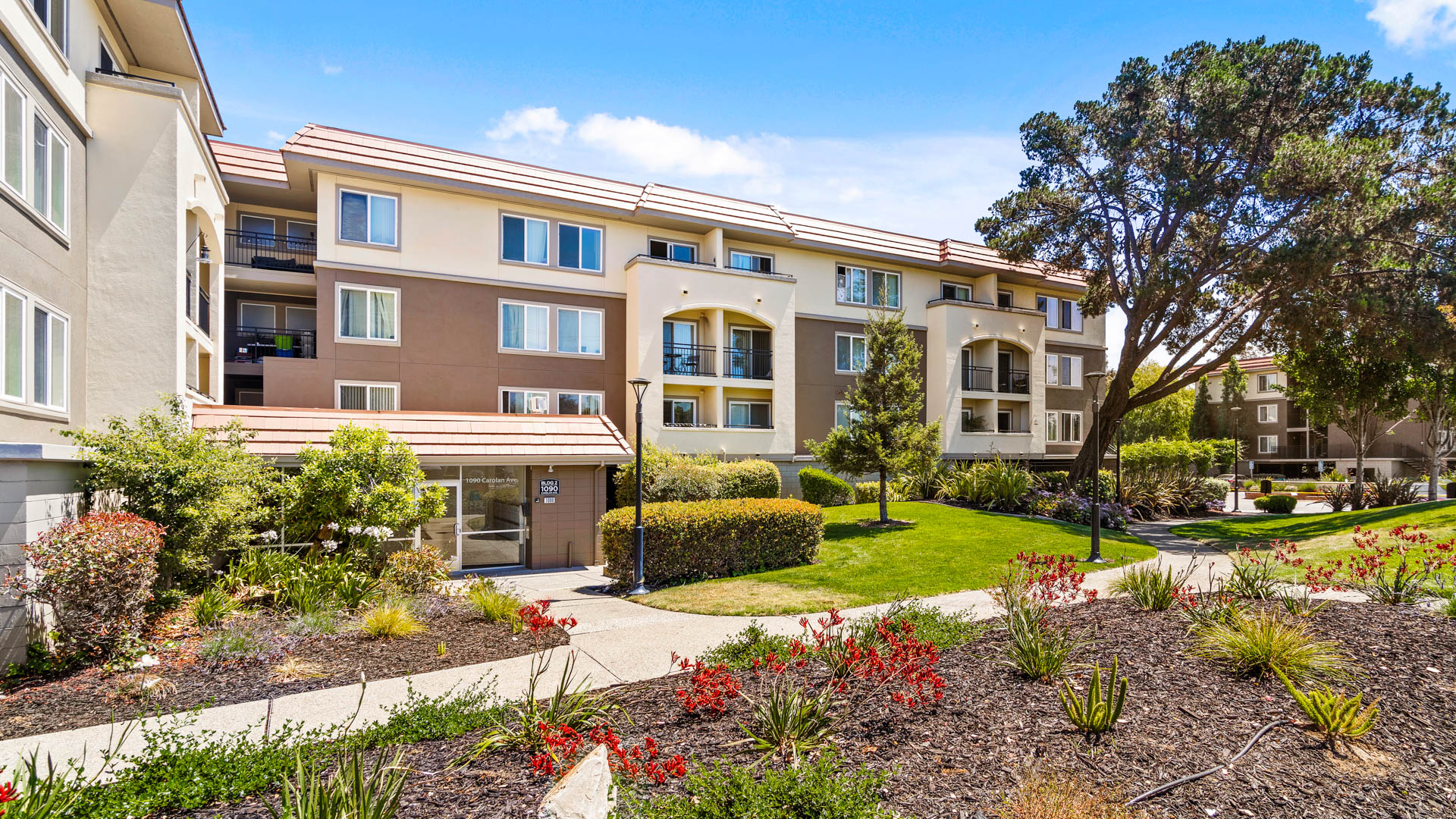 Northpark Apartments 6 of 12