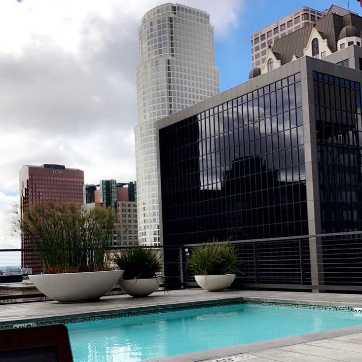 Pool at Pegasus Apartments (6 of 6)