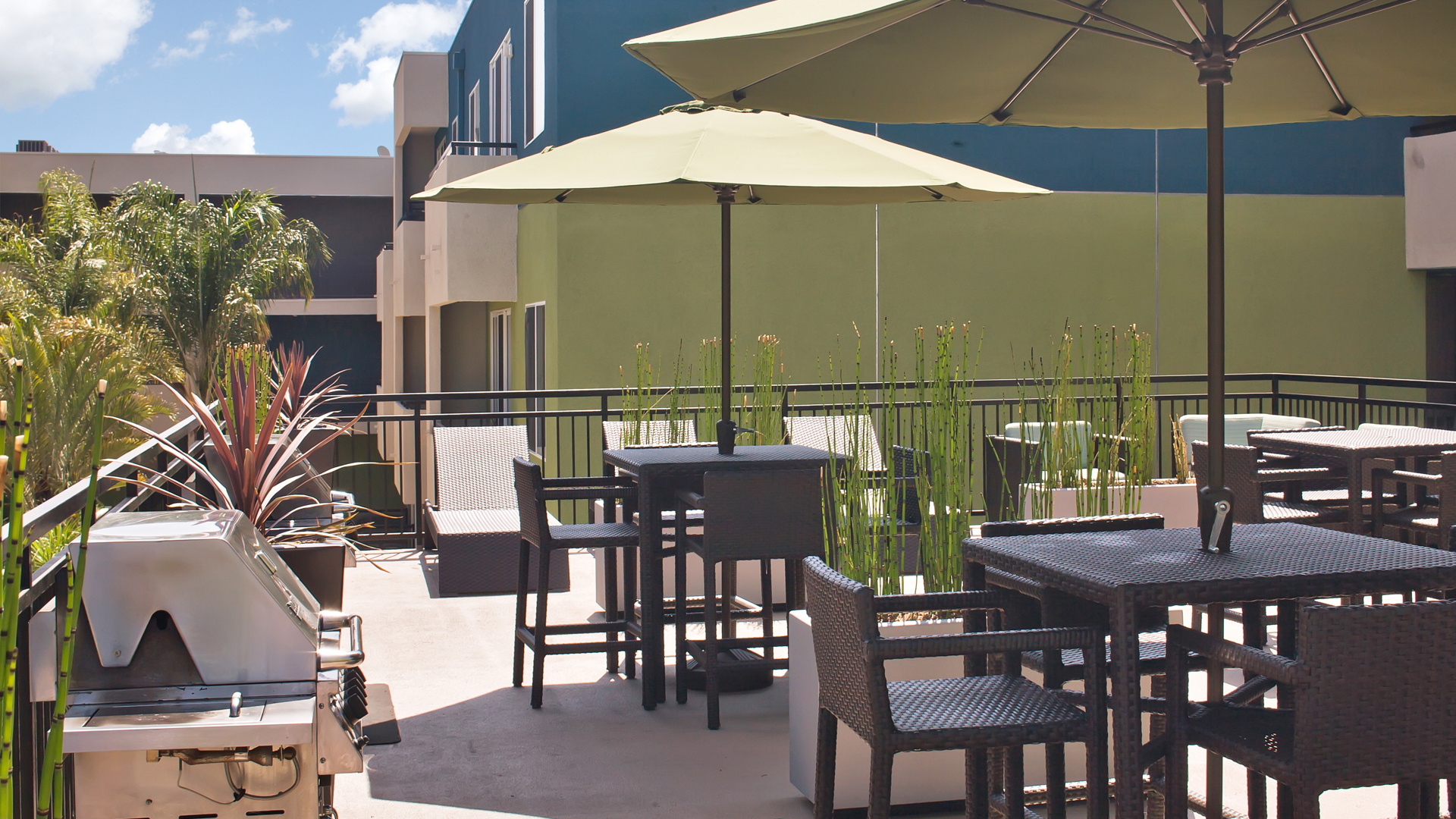 Roof deck at Lindley Apartments (2 of 3)
