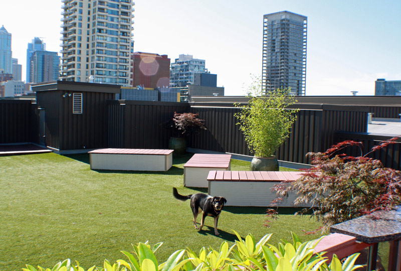 Roof deck at Moda Apartments (5 of 6)