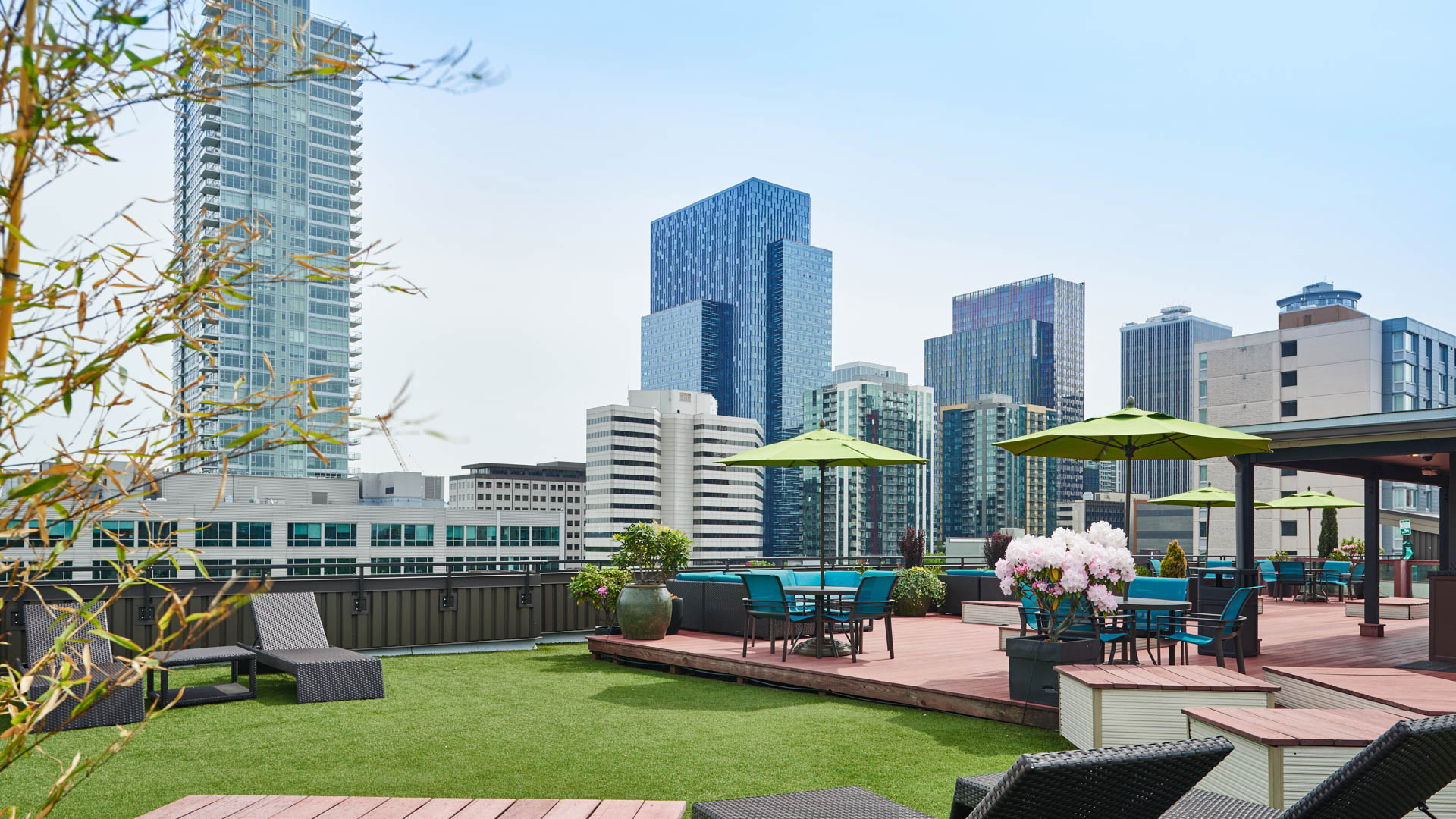Roof deck at Moda Apartments (6 of 6)