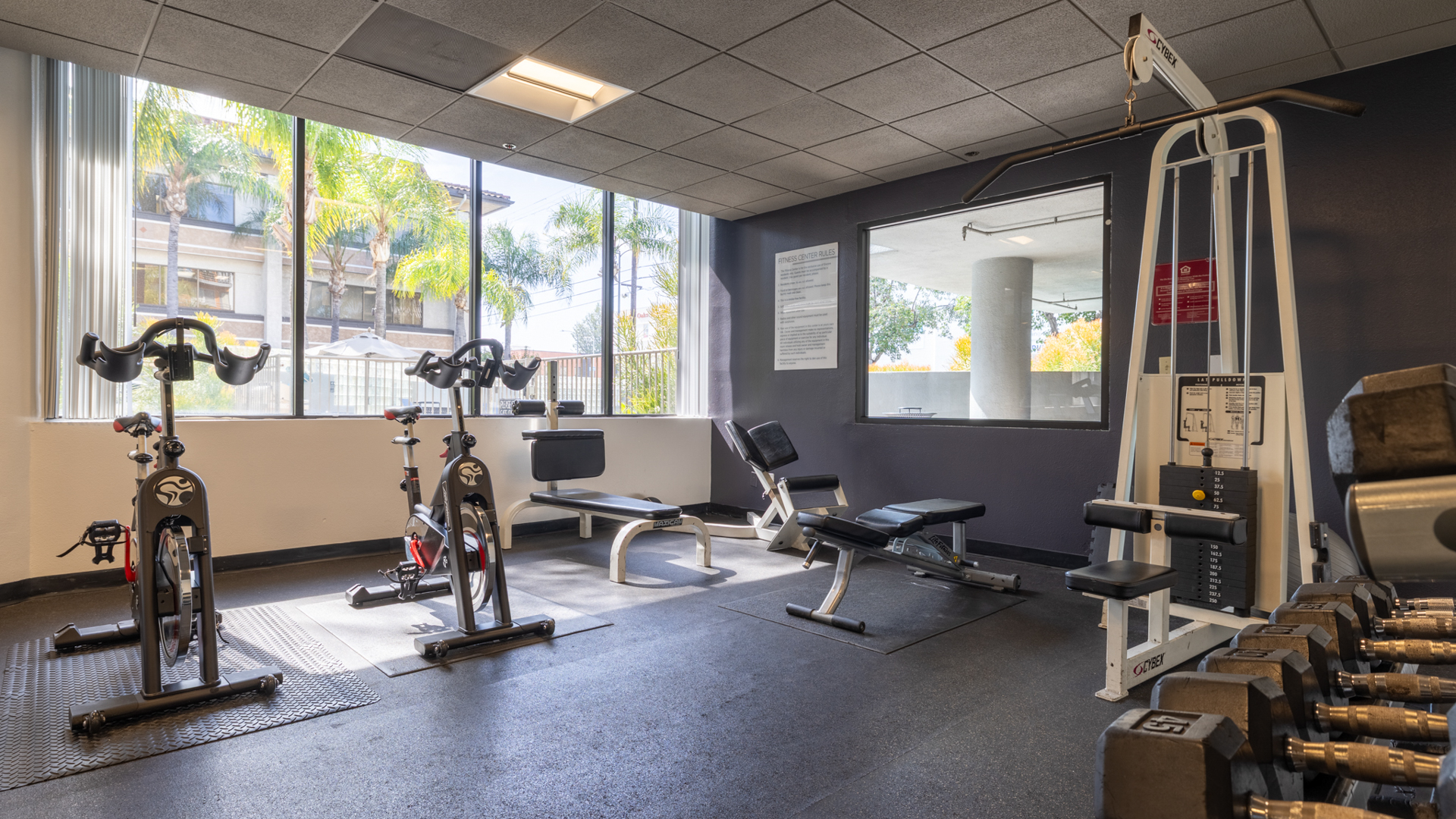 Gym at The Encore Apartments (1 of 2)
