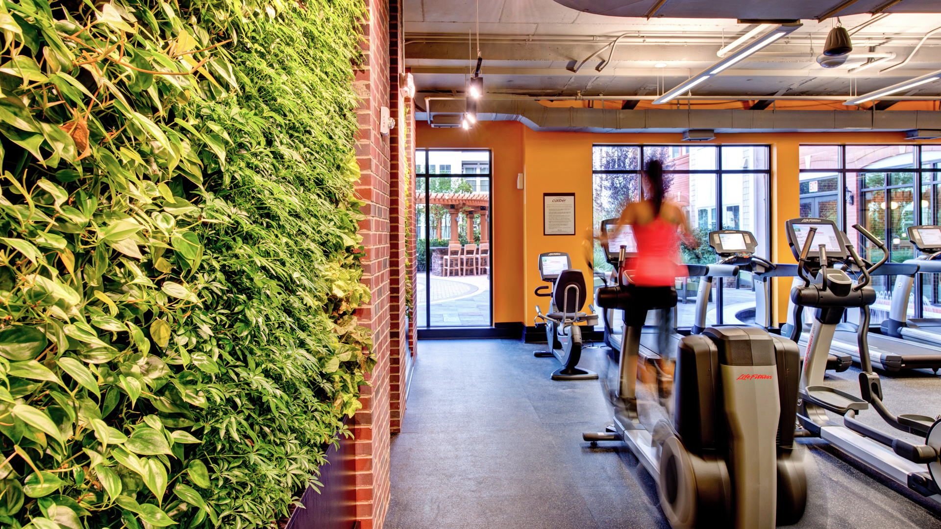 Gym at Gaithersburg Station Apartments (3 of 3)
