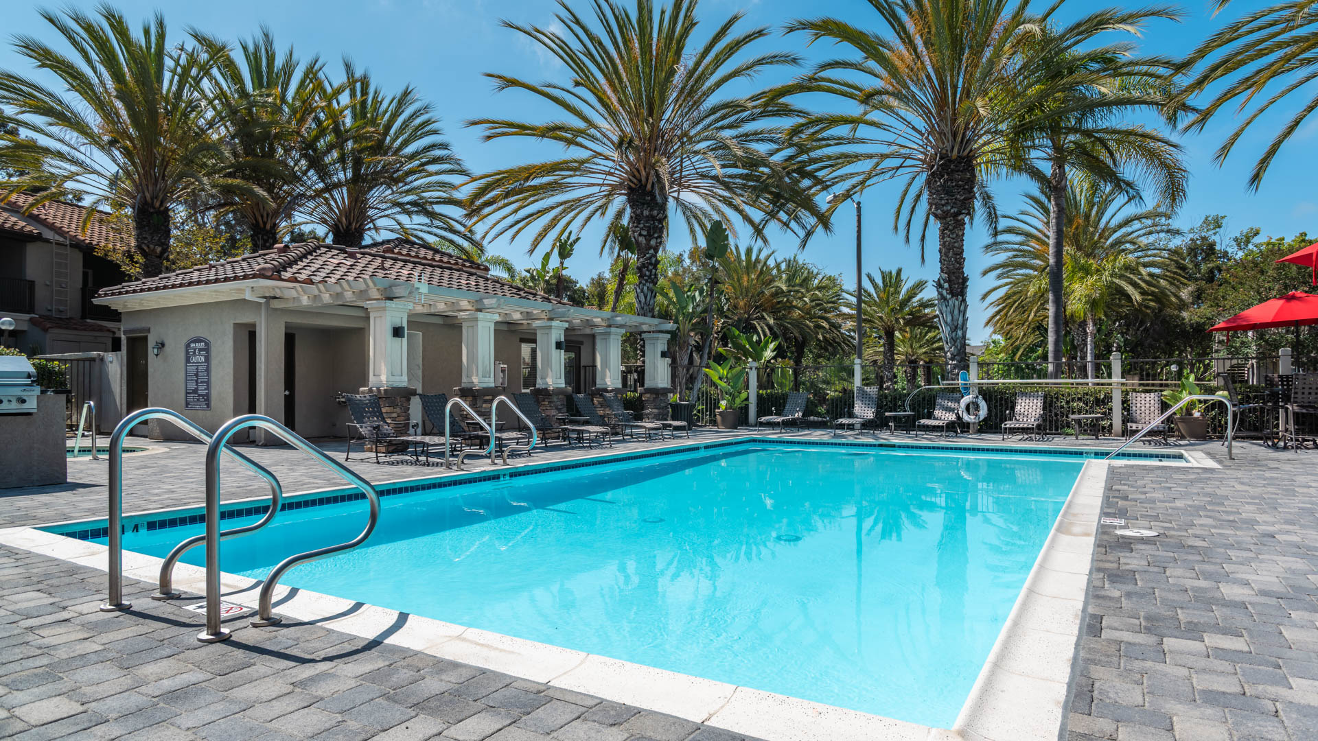 Pool at The Village at Del Mar Heights Apartments (3 of 5)