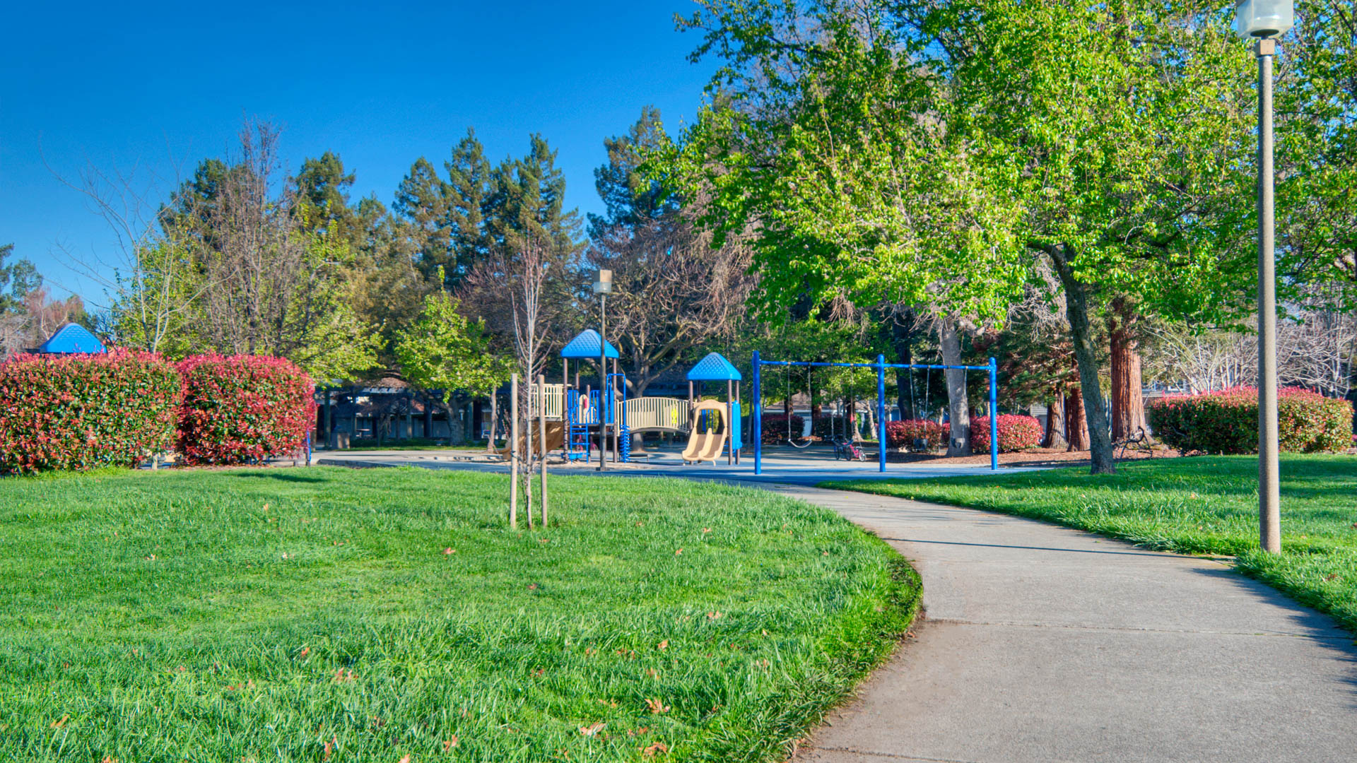 Reserve at Mountain View Apartments 21 of 27
