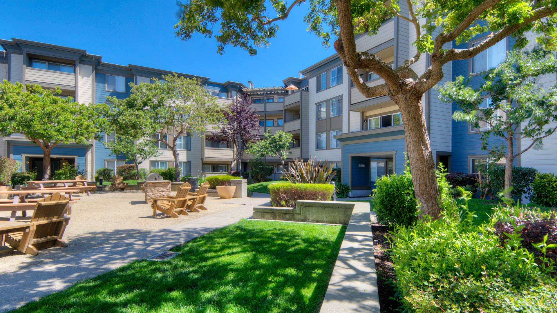 Courtyard at Artistry Emeryville Apartments (2 of 4)