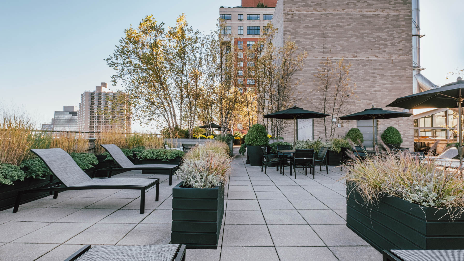 Roof deck at Murray Hill Tower Apartments (2 of 5)