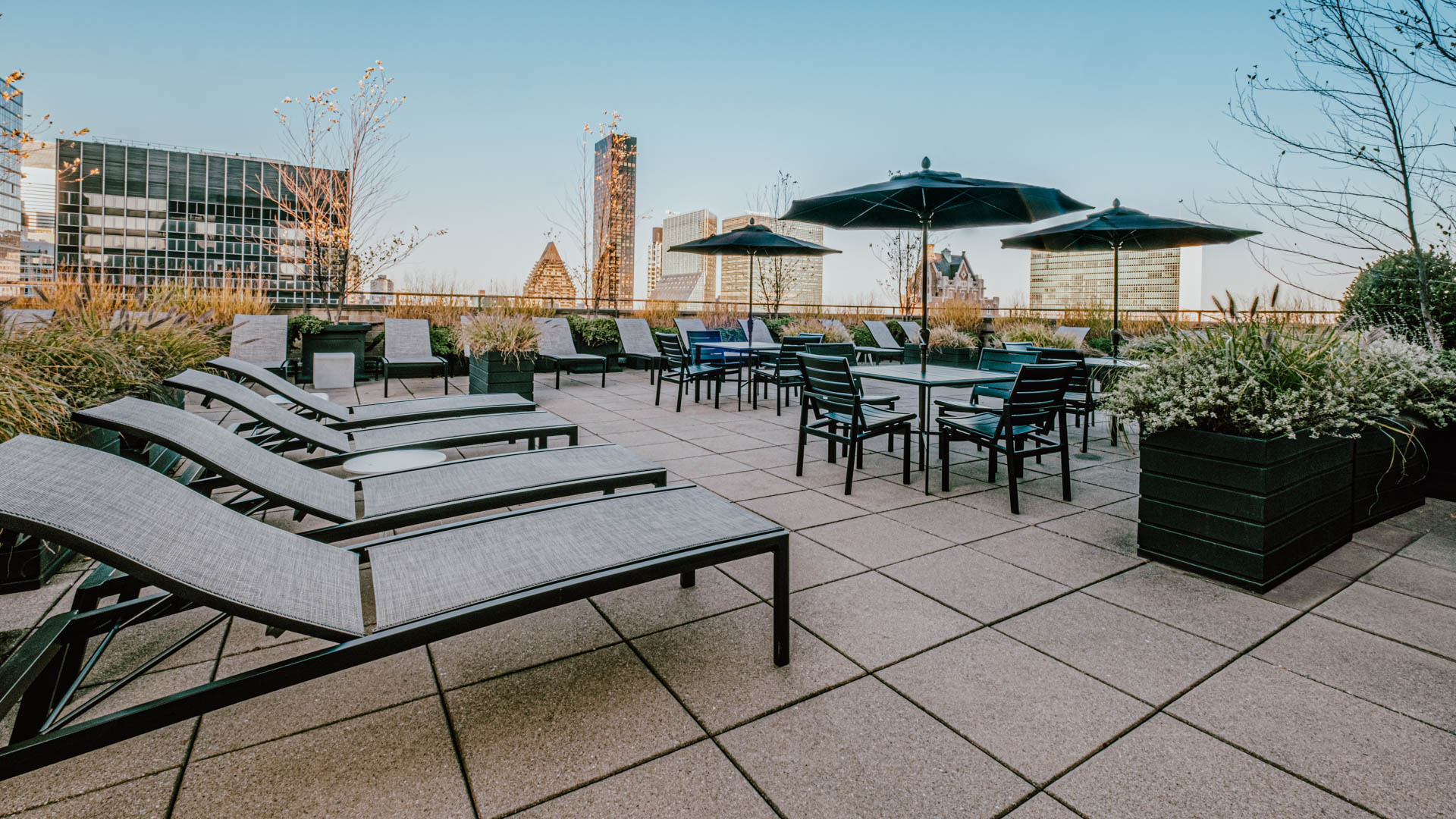 Roof deck at Murray Hill Tower Apartments (4 of 5)