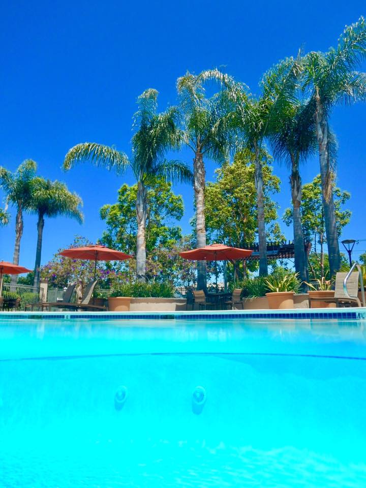 Pool at Park Place at San Mateo Apartments (2 of 2)