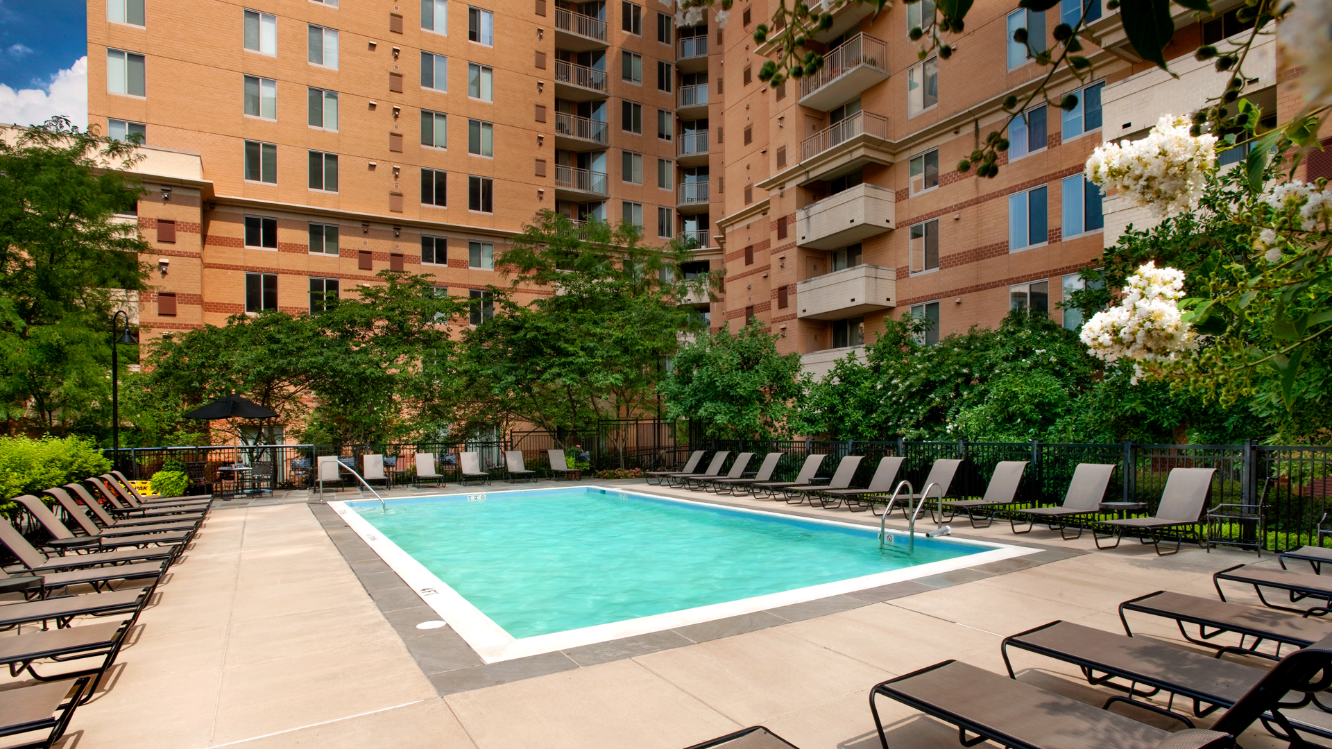 Pool at 1800 Oak Apartments (2 of 2)
