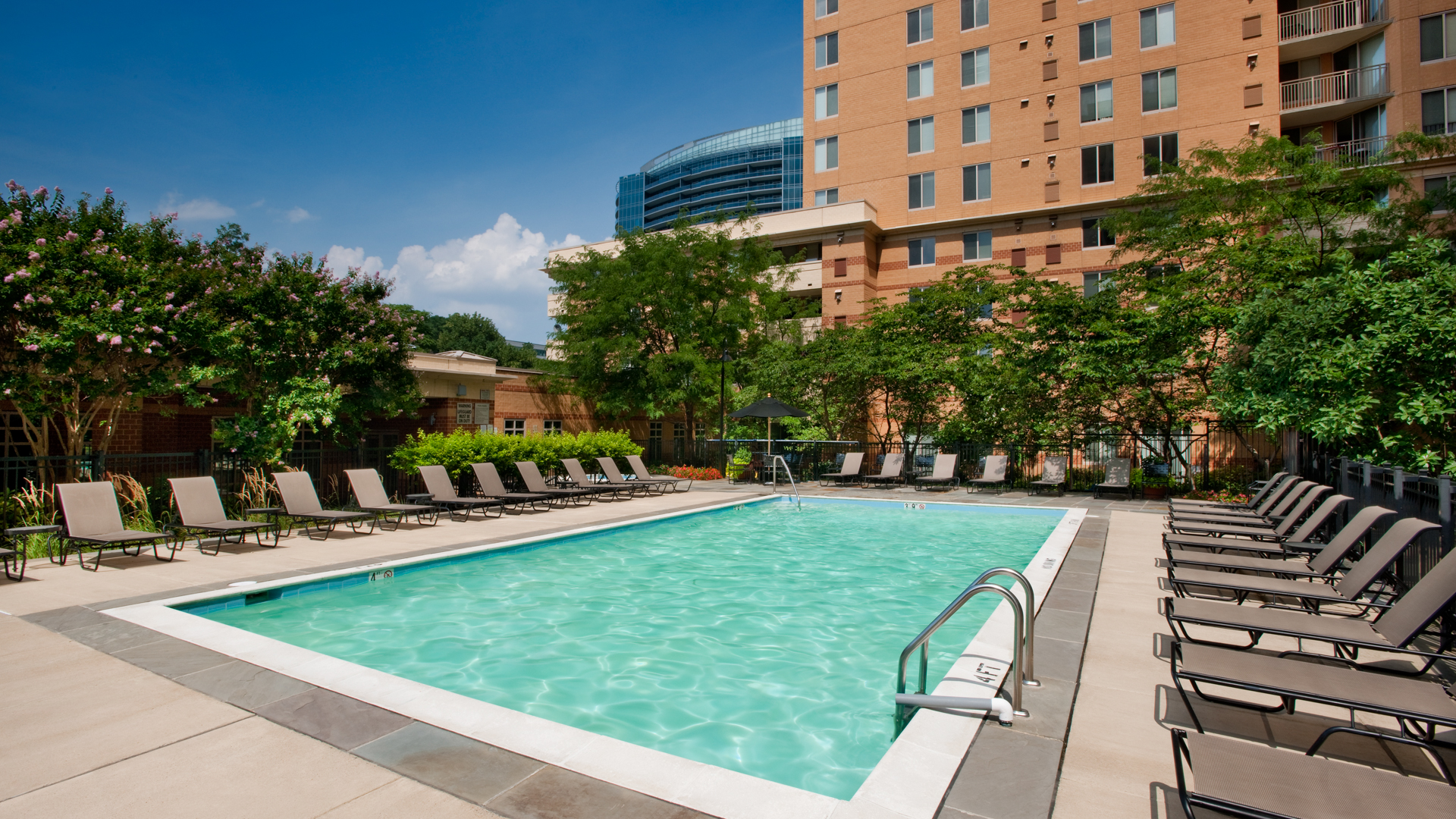 Pool at 1800 Oak Apartments (1 of 2)
