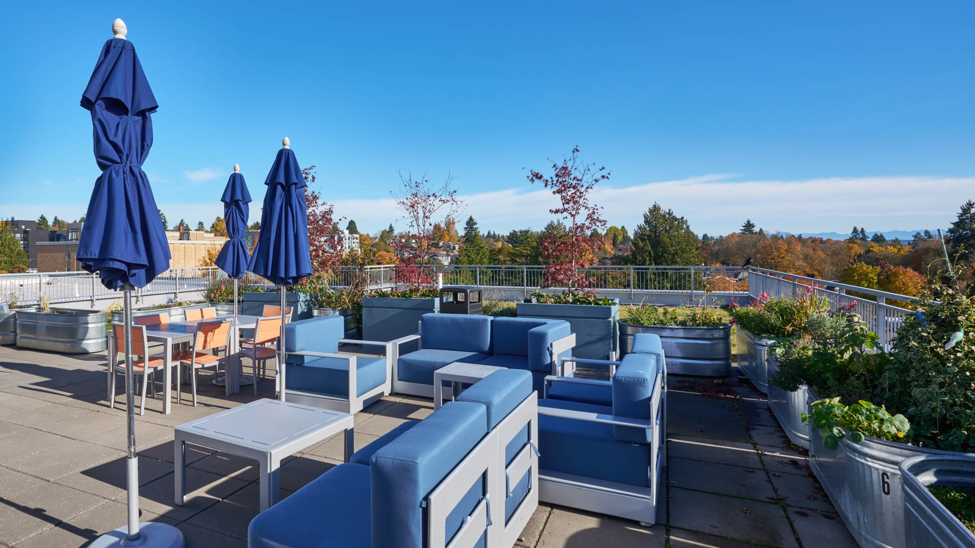 Roof deck at Square One Apartments (3 of 8)