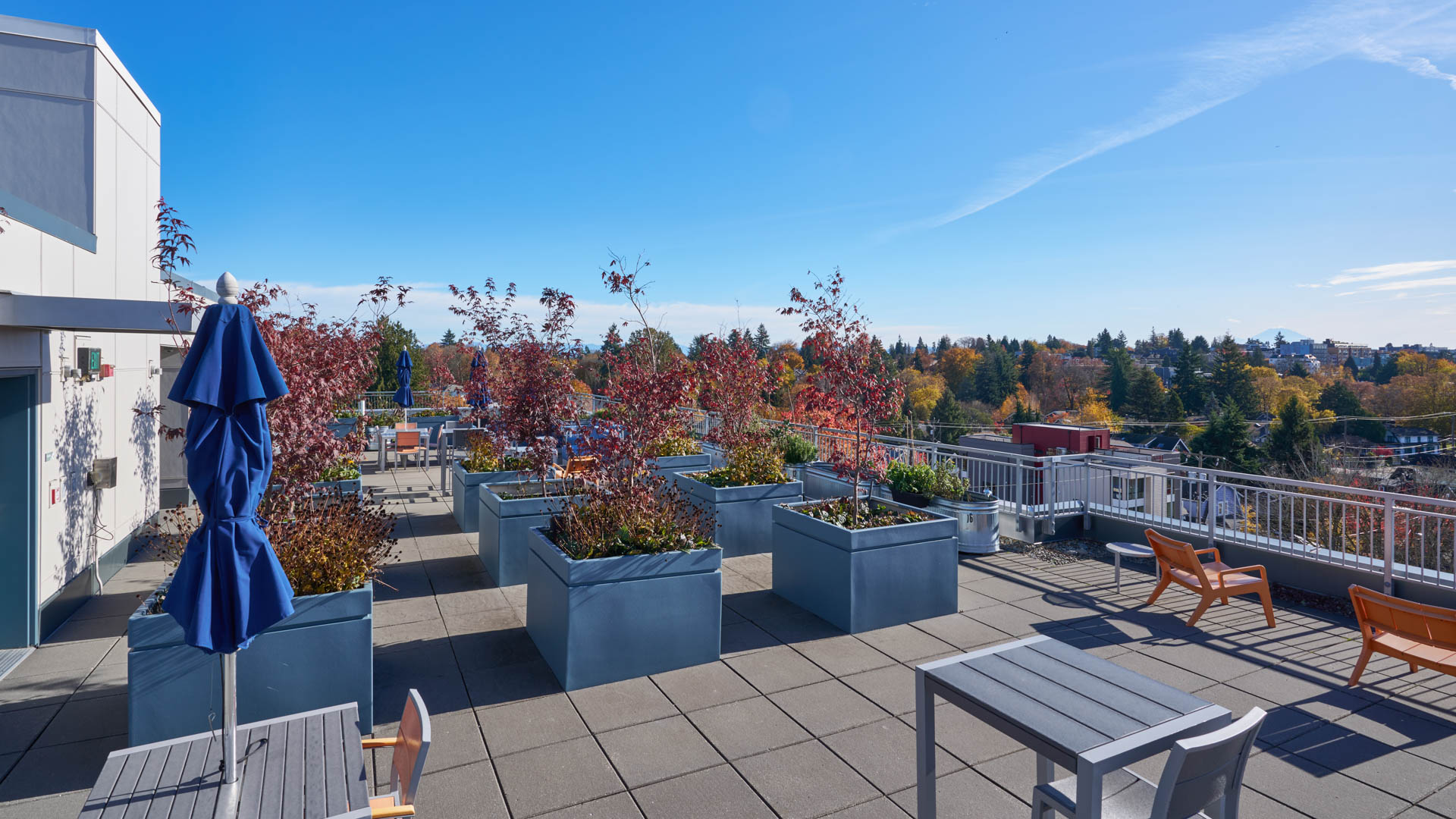 Roof deck at Square One Apartments (4 of 8)