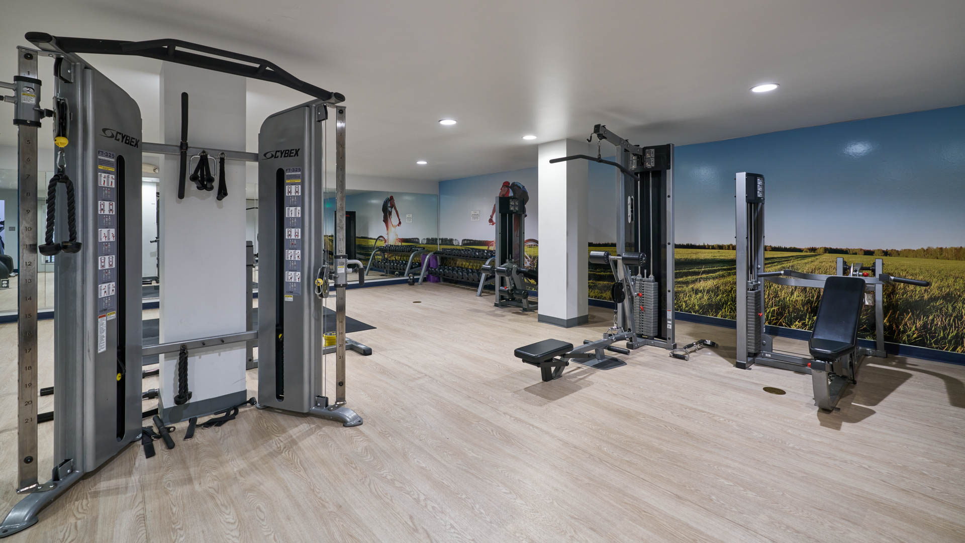 Gym at Alcyone Apartments (1 of 2)