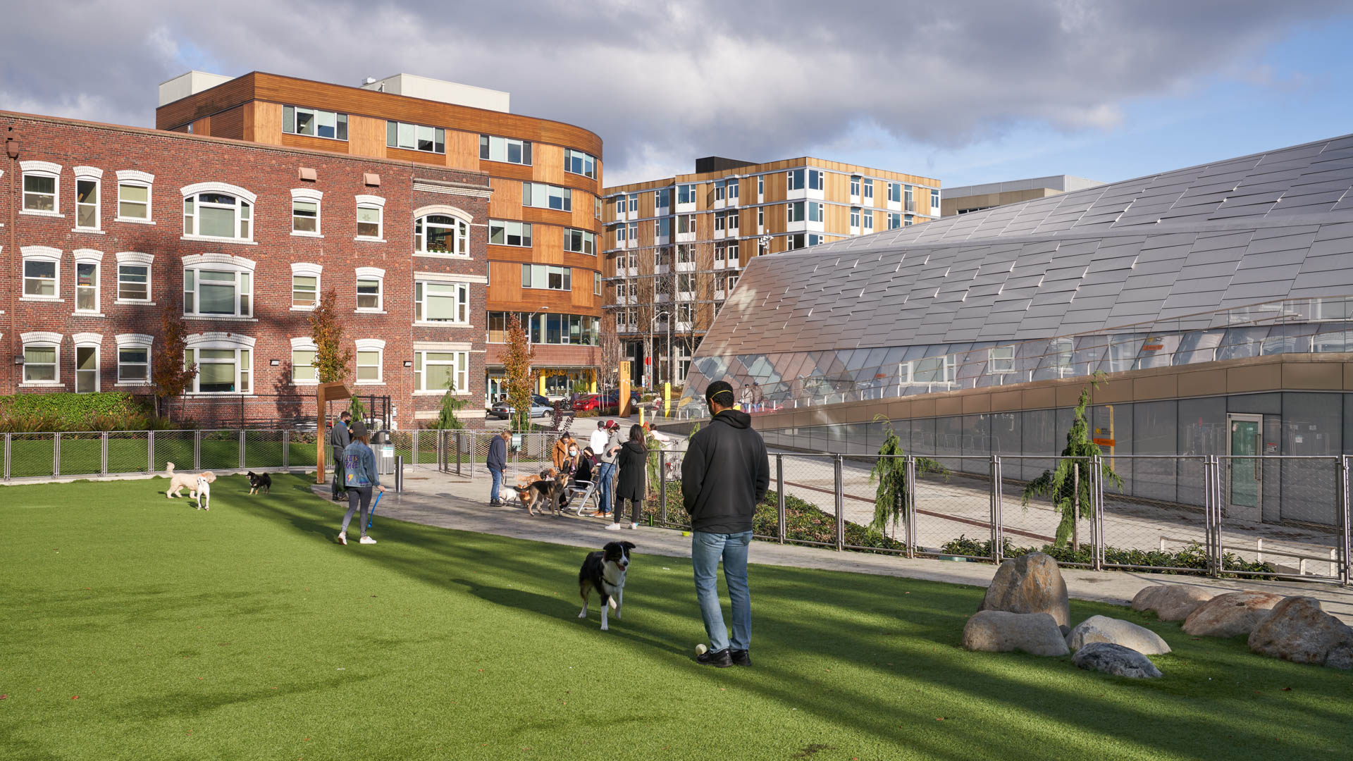 Dog park at Alcyone Apartments