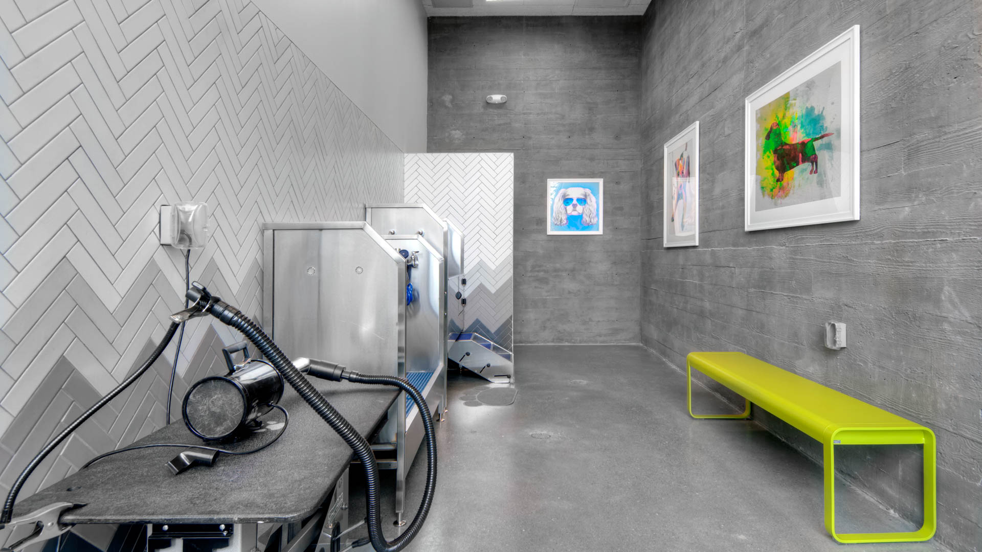 Pet wash at Potrero 1010 Apartments