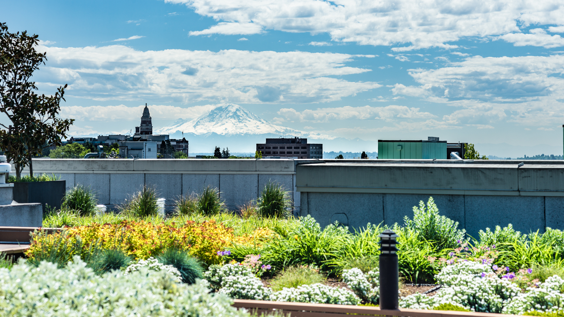 Roof deck at Packard Building Apartments (4 of 4)