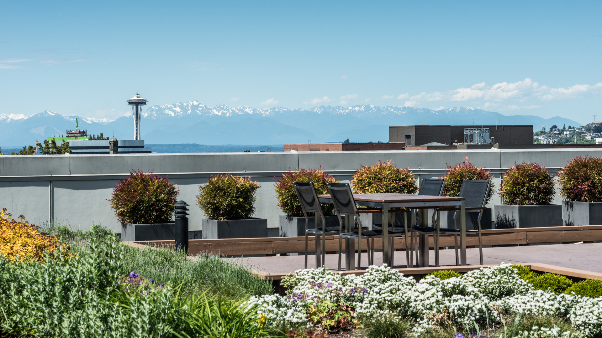 Roof deck at Packard Building Apartments (3 of 4)