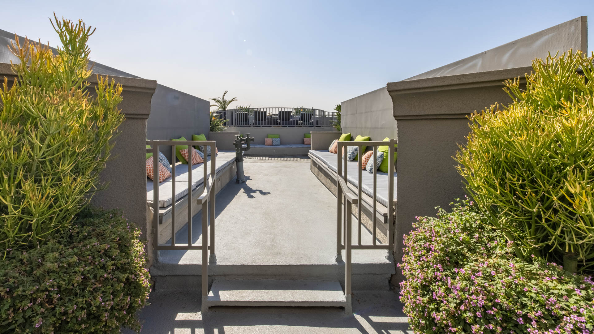 Roof deck at Vantage Hollywood Apartments (3 of 3)