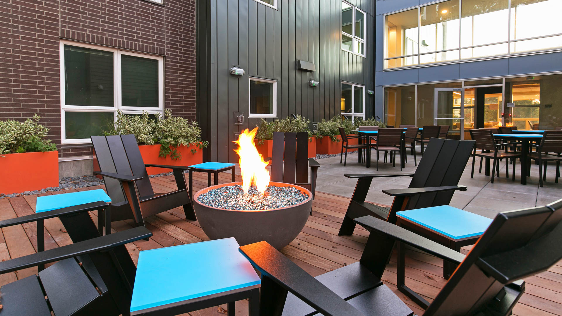 Courtyard at Springline Apartments