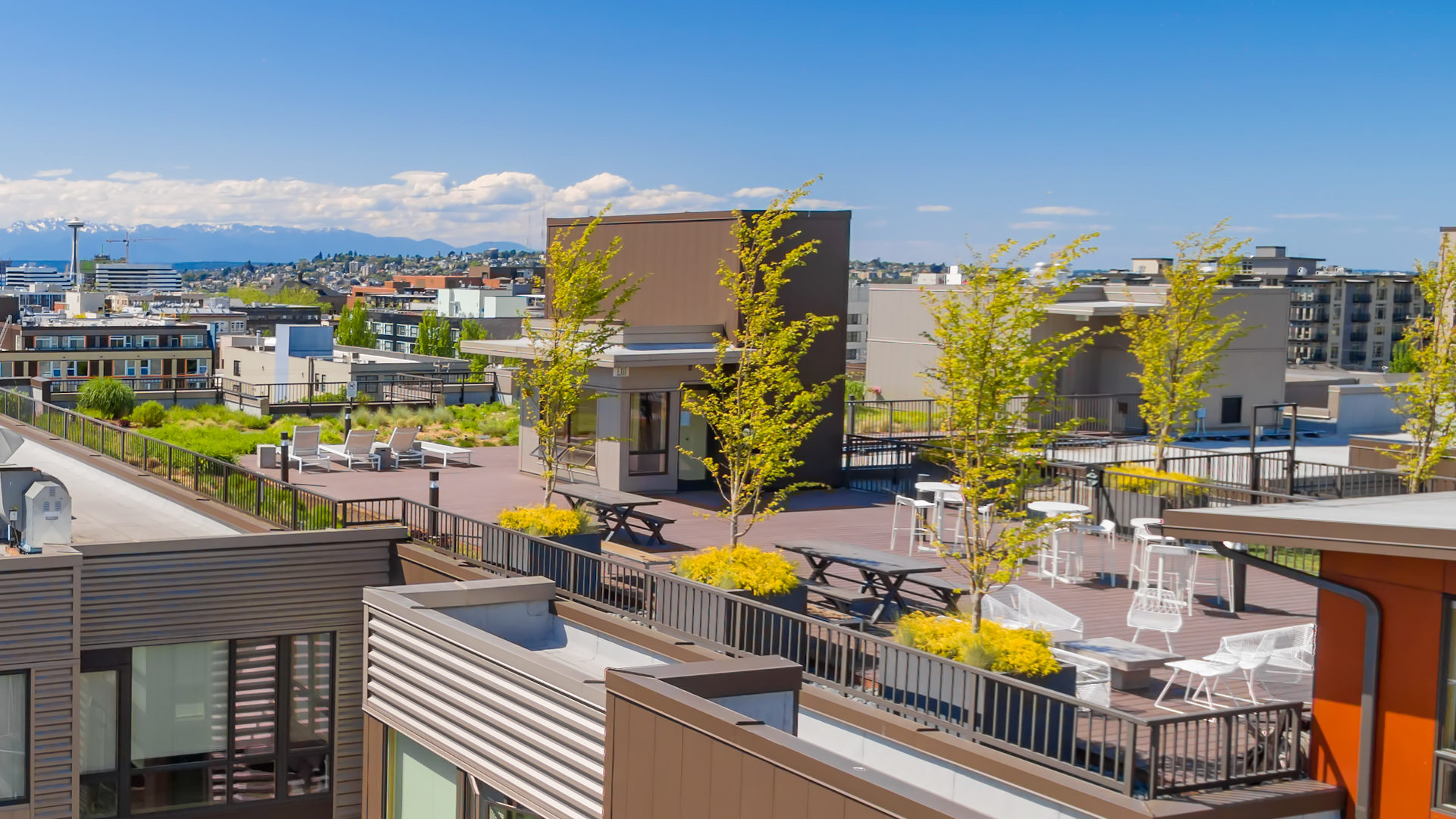 Roof deck at Chloe on Union Apartments (6 of 6)